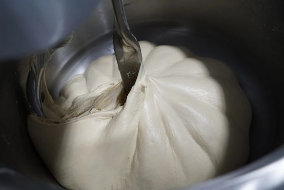 De dubbele van de het Deegmixer van de Snelheids12.5kg Spiraalvormige Pizza Mixer van het de Motor25kg Deeg Enige