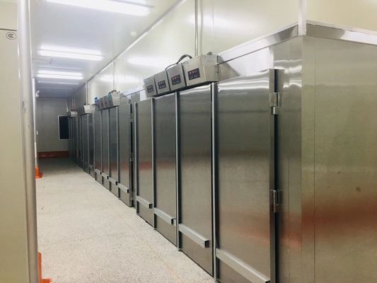 Yasur yst-1R2 Broodje in de Gisterzaal van Proofer van het Typedeeg Definitieve Dubbele Rekken 40X60cm Dienbladen 220V 2KW