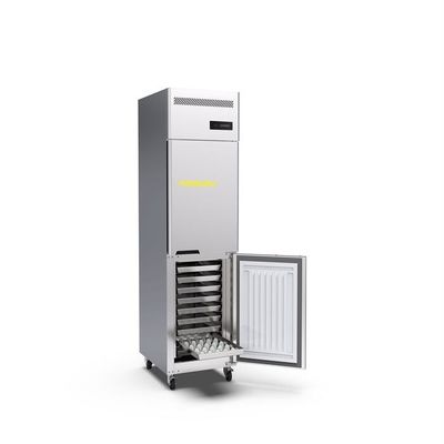 0.3kw 2 Roestvrije staal van de Deur het Commerciële Rechte Diepvriezer 15 Dienbladen voor Commerciële Hotelkeuken